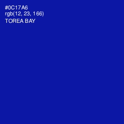 #0C17A6 - Torea Bay Color Image