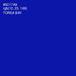 #0C17A9 - Torea Bay Color Image