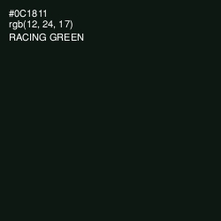 #0C1811 - Racing Green Color Image