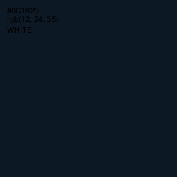 #0C1823 - Black Pearl Color Image