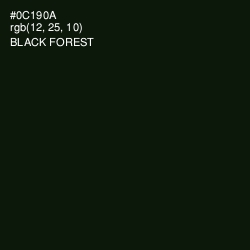#0C190A - Black Forest Color Image