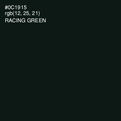 #0C1915 - Racing Green Color Image