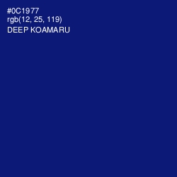 #0C1977 - Deep Koamaru Color Image