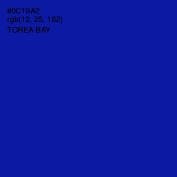 #0C19A2 - Torea Bay Color Image