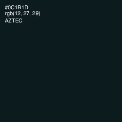 #0C1B1D - Aztec Color Image