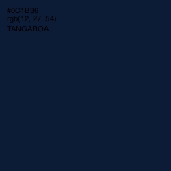 #0C1B36 - Tangaroa Color Image