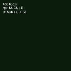 #0C1C0B - Black Forest Color Image