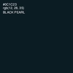 #0C1C23 - Black Pearl Color Image