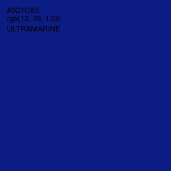 #0C1C85 - Ultramarine Color Image