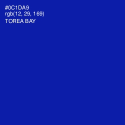 #0C1DA9 - Torea Bay Color Image