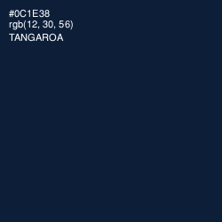 #0C1E38 - Tangaroa Color Image