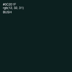 #0C201F - Bush Color Image
