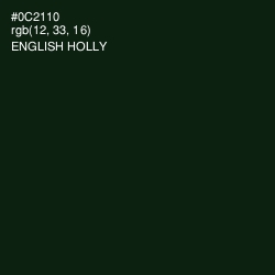 #0C2110 - English Holly Color Image