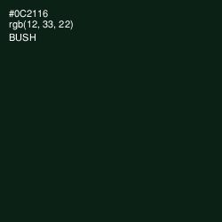 #0C2116 - Bush Color Image