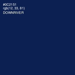 #0C2151 - Downriver Color Image
