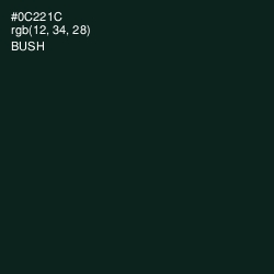 #0C221C - Bush Color Image