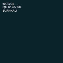 #0C222B - Burnham Color Image