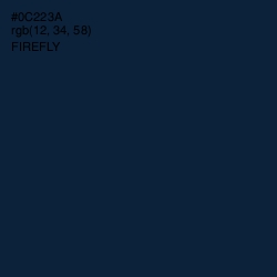 #0C223A - Firefly Color Image