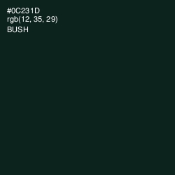 #0C231D - Bush Color Image