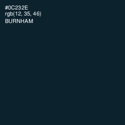 #0C232E - Burnham Color Image