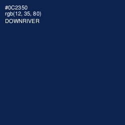 #0C2350 - Downriver Color Image