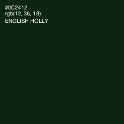 #0C2412 - English Holly Color Image