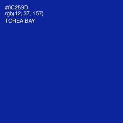 #0C259D - Torea Bay Color Image