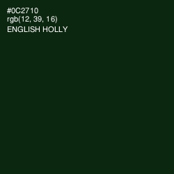 #0C2710 - English Holly Color Image