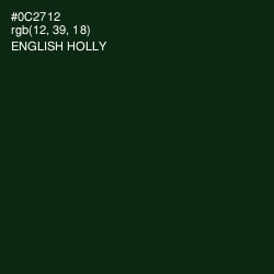 #0C2712 - English Holly Color Image