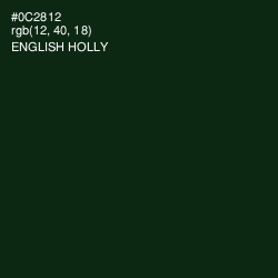 #0C2812 - English Holly Color Image