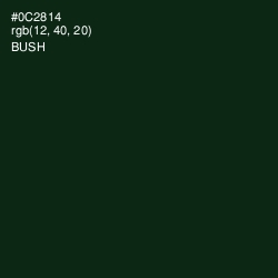 #0C2814 - Bush Color Image