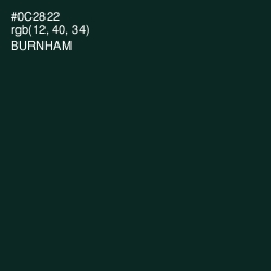 #0C2822 - Burnham Color Image