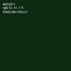 #0C2911 - English Holly Color Image