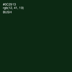 #0C2913 - Bush Color Image