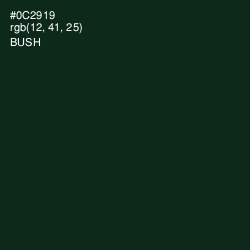 #0C2919 - Bush Color Image