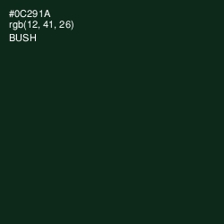 #0C291A - Bush Color Image