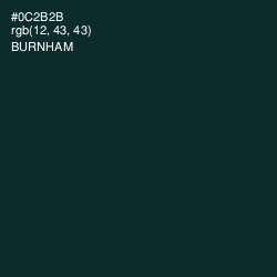 #0C2B2B - Burnham Color Image