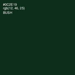 #0C2E19 - Bush Color Image