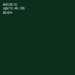 #0C2E1C - Bush Color Image