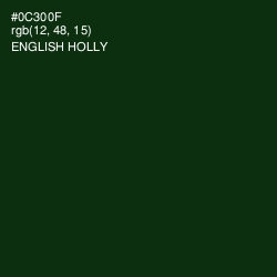 #0C300F - English Holly Color Image