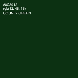 #0C3012 - County Green Color Image