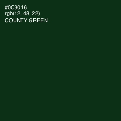 #0C3016 - County Green Color Image