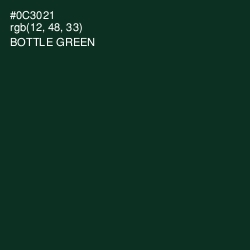 #0C3021 - Bottle Green Color Image