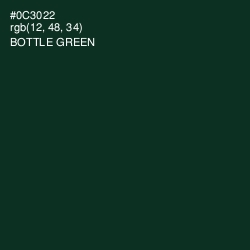 #0C3022 - Bottle Green Color Image