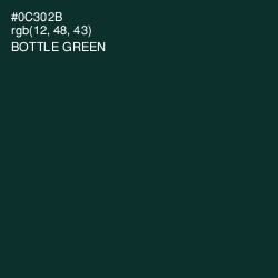 #0C302B - Bottle Green Color Image