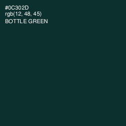 #0C302D - Bottle Green Color Image