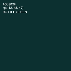 #0C302F - Bottle Green Color Image