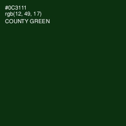 #0C3111 - County Green Color Image