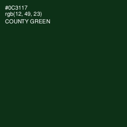 #0C3117 - County Green Color Image