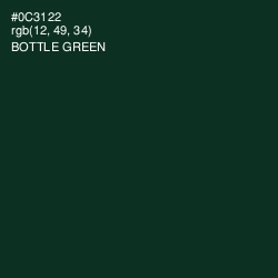 #0C3122 - Bottle Green Color Image